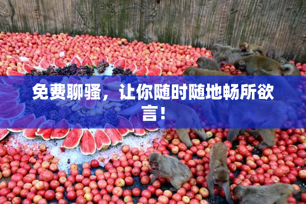 免费聊骚，让你随时随地畅所欲言！