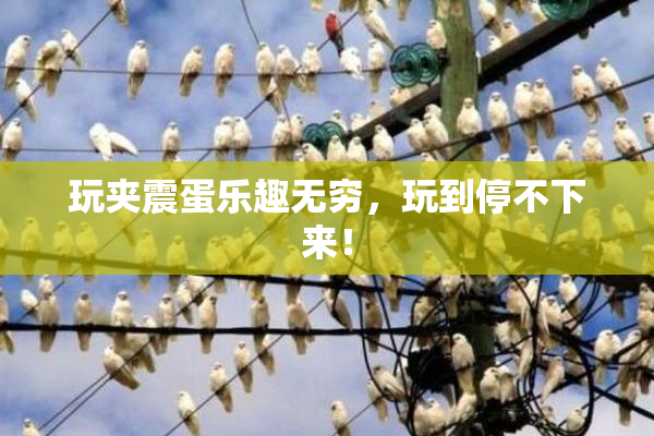 玩夹震蛋乐趣无穷，玩到停不下来！