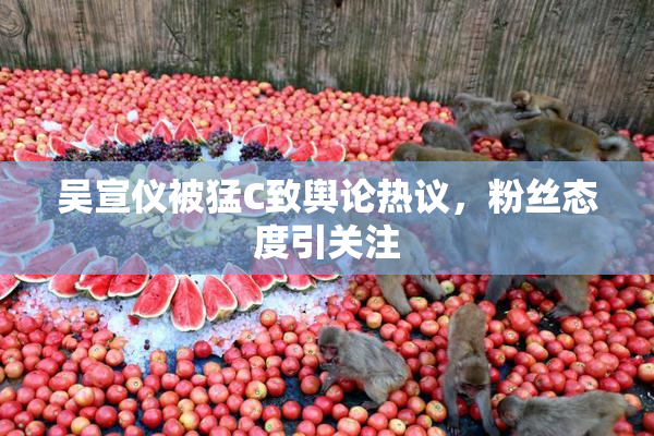 吴宣仪被猛C致舆论热议，粉丝态度引关注