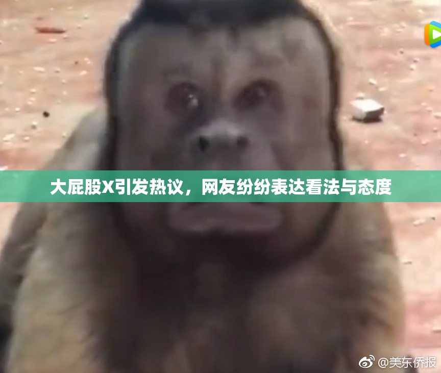 大屁股X引发热议，网友纷纷表达看法与态度