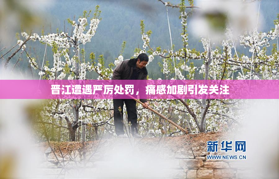 晋江遭遇严厉处罚，痛感加剧引发关注