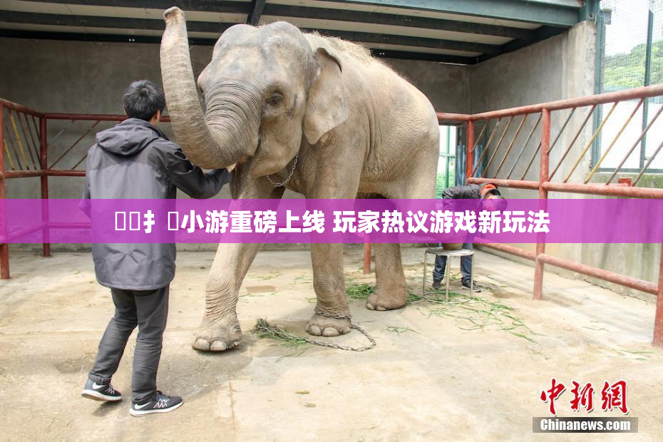 喿喿扌畐小游重磅上线 玩家热议游戏新玩法