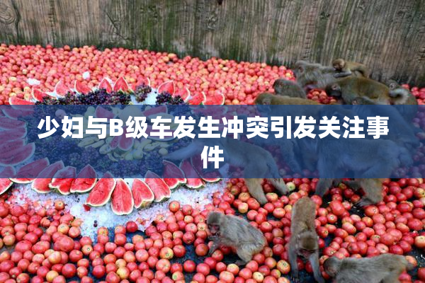 少妇与B级车发生冲突引发关注事件