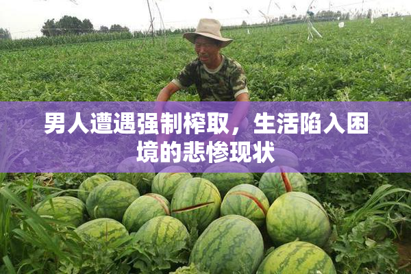 男人遭遇强制榨取，生活陷入困境的悲惨现状