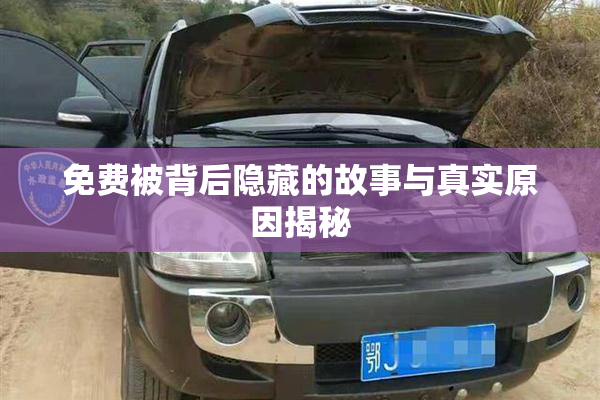 免费被背后隐藏的故事与真实原因揭秘
