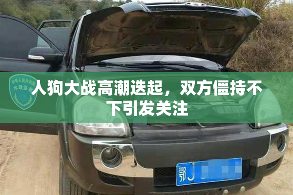 人狗大战高潮迭起，双方僵持不下引发关注
