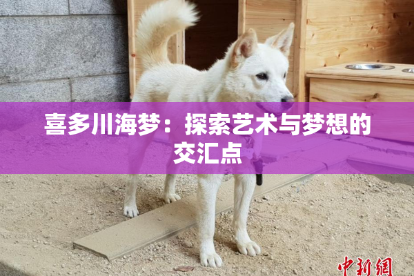 喜多川海梦：探索艺术与梦想的交汇点