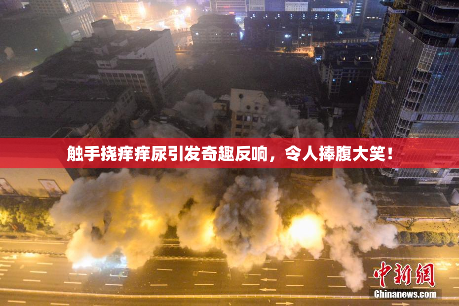 触手挠痒痒尿引发奇趣反响，令人捧腹大笑！