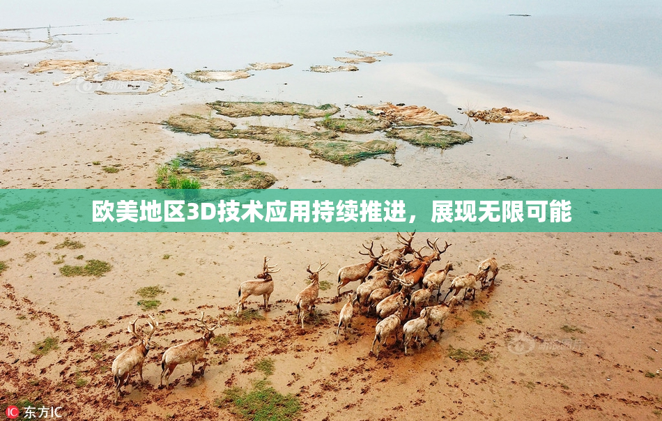 欧美地区3D技术应用持续推进，展现无限可能