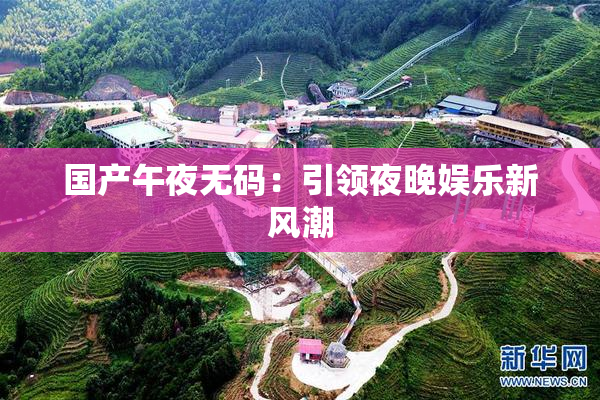 国产午夜无码：引领夜晚娱乐新风潮