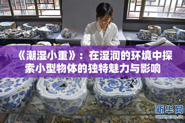 《潮湿小重》：在湿润的环境中探索小型物体的独特魅力与影响