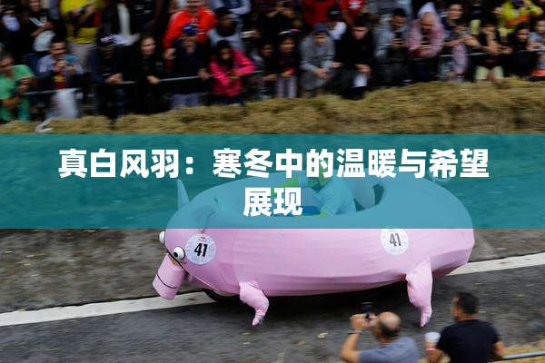真白风羽：寒冬中的温暖与希望展现