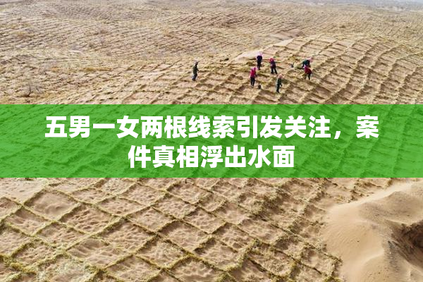 五男一女两根线索引发关注，案件真相浮出水面