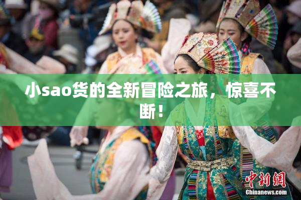 小sao货的全新冒险之旅，惊喜不断！