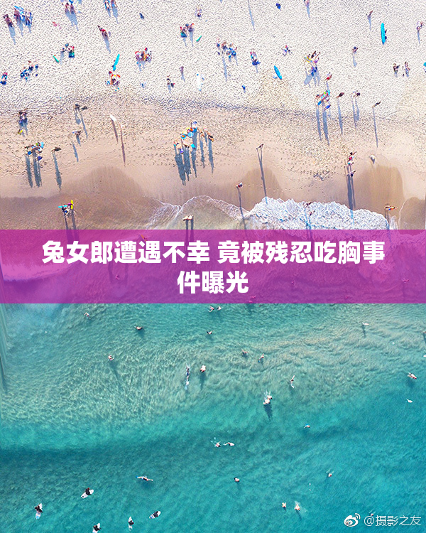 兔女郎遭遇不幸 竟被残忍吃胸事件曝光