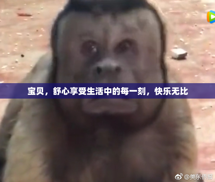 宝贝，舒心享受生活中的每一刻，快乐无比