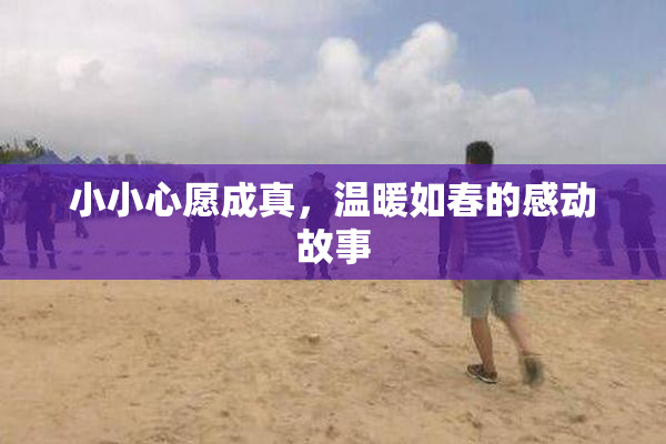 小小心愿成真，温暖如春的感动故事
