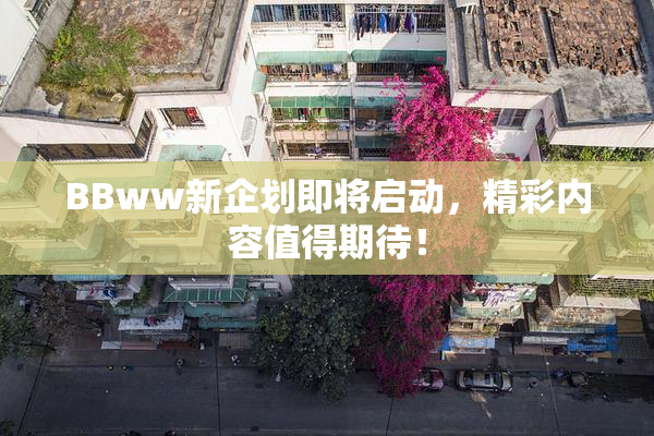 BBww新企划即将启动，精彩内容值得期待！
