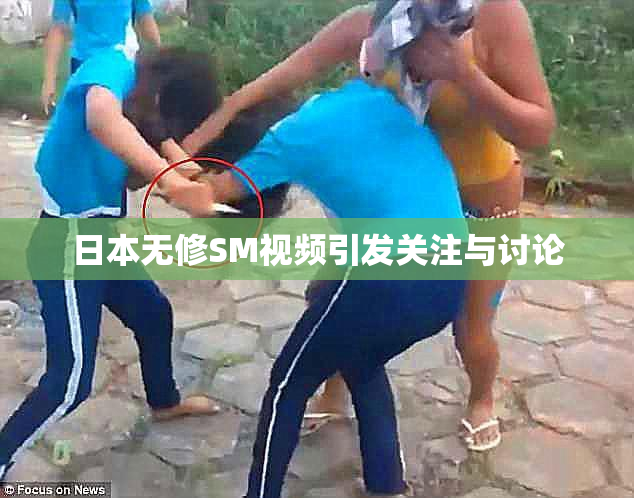 日本无修SM视频引发关注与讨论