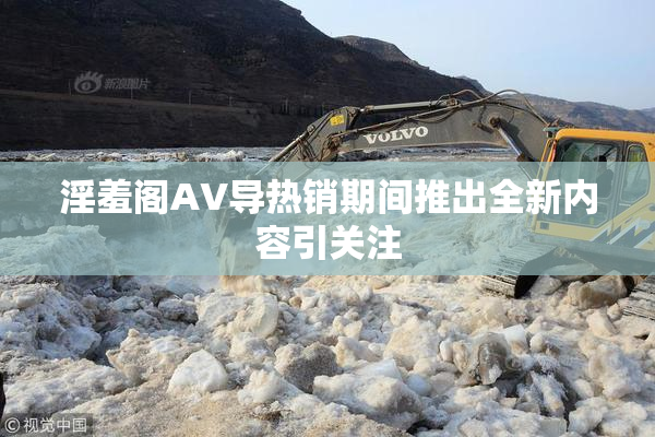 淫羞阁AV导热销期间推出全新内容引关注