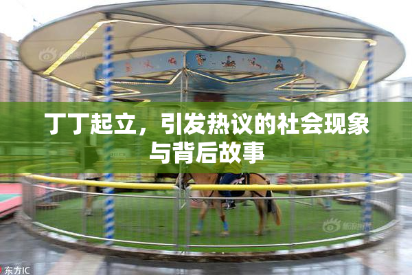 丁丁起立，引发热议的社会现象与背后故事