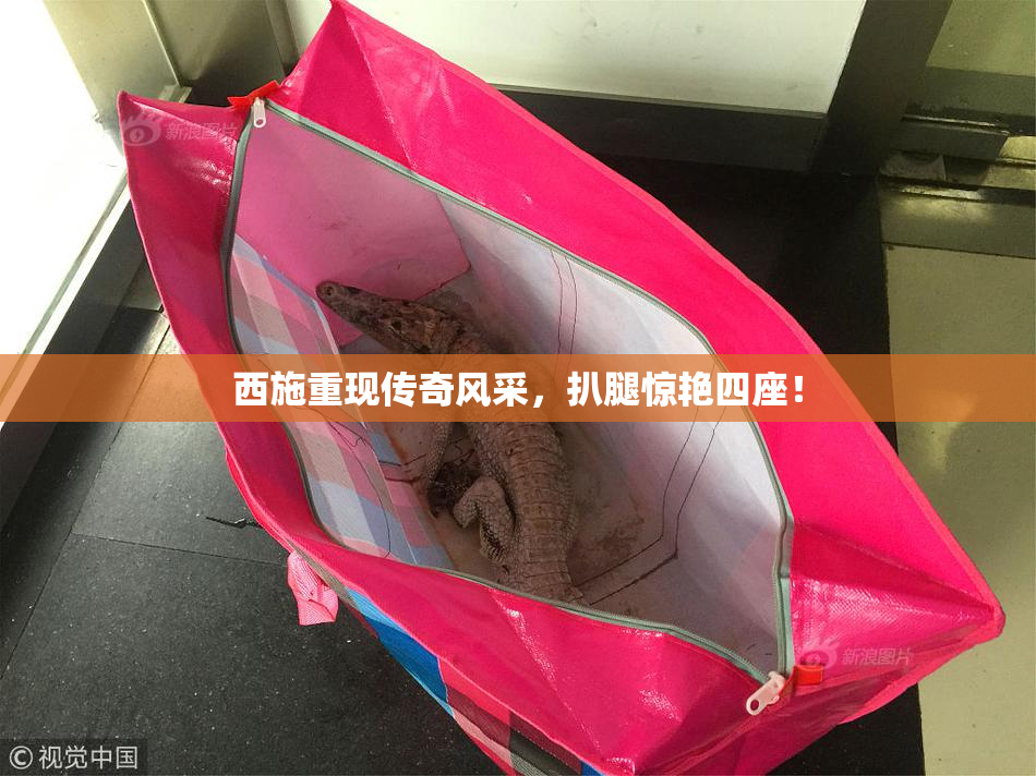 西施重现传奇风采，扒腿惊艳四座！