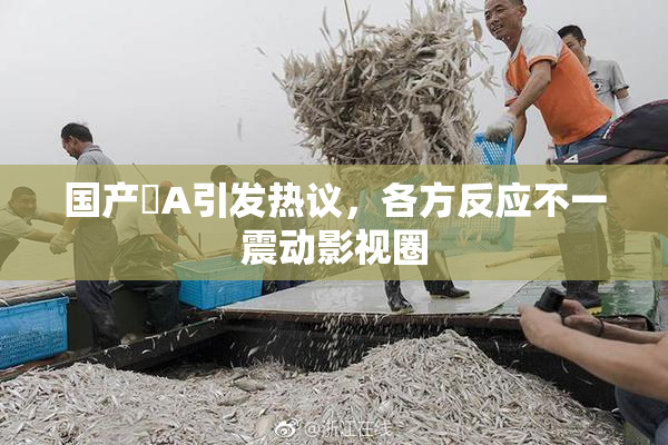 国产婬A引发热议，各方反应不一震动影视圈