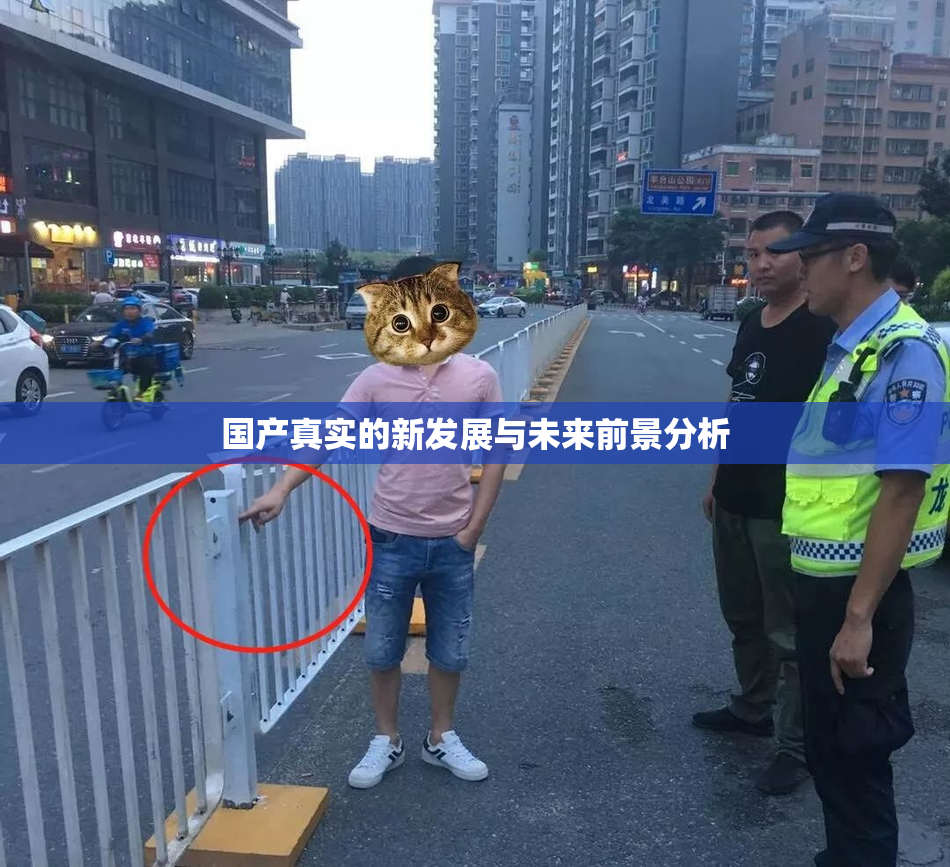 国产真实的新发展与未来前景分析