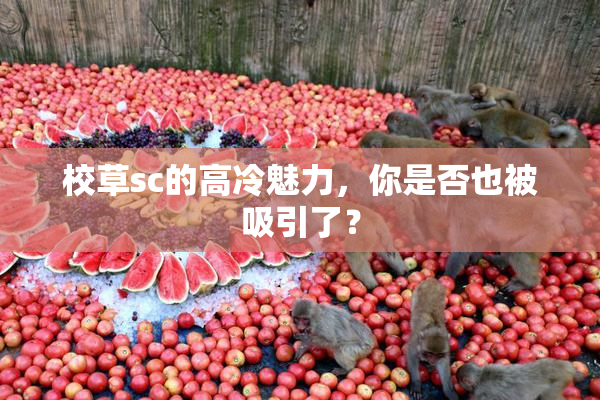 校草sc的高冷魅力，你是否也被吸引了？