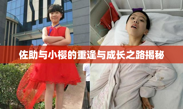 佐助与小樱的重逢与成长之路揭秘
