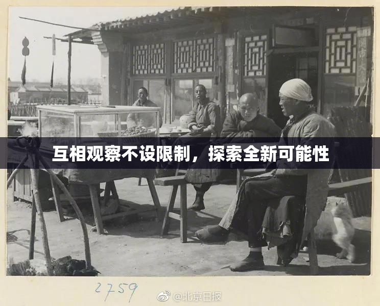 互相观察不设限制，探索全新可能性