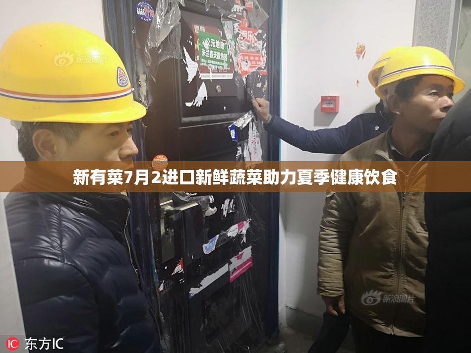 新有菜7月2进口新鲜蔬菜助力夏季健康饮食