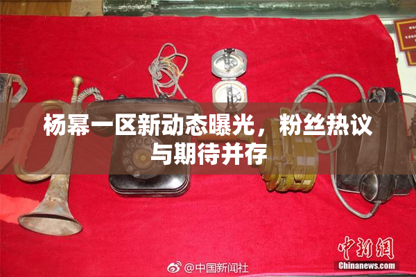 杨幂一区新动态曝光，粉丝热议与期待并存