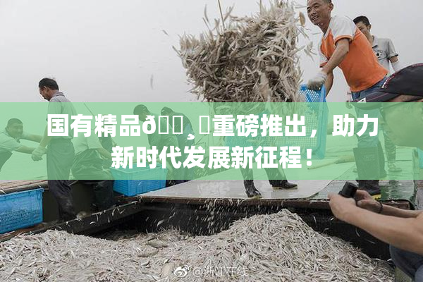 国有精品🌸‌重磅推出，助力新时代发展新征程！