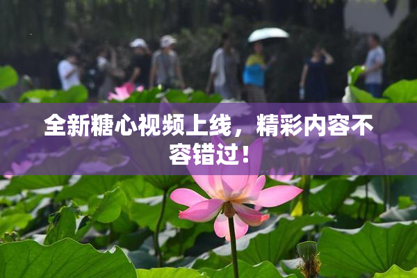 全新糖心视频上线，精彩内容不容错过！