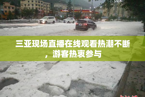 三亚现场直播在线观看热潮不断，游客热衷参与