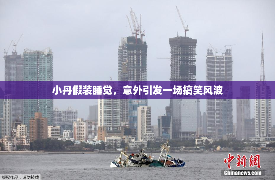 小丹假装睡觉，意外引发一场搞笑风波