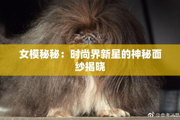 女模秘秘：时尚界新星的神秘面纱揭晓