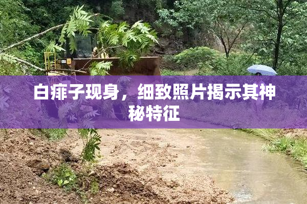白痱子现身，细致照片揭示其神秘特征