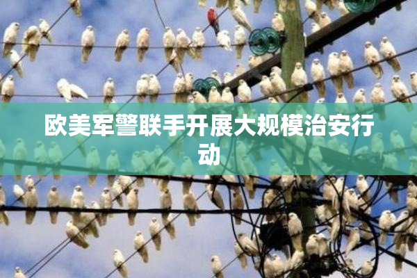 欧美军警联手开展大规模治安行动