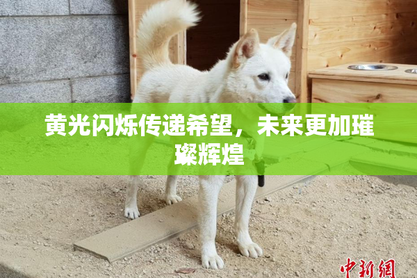 黄光闪烁传递希望，未来更加璀璨辉煌