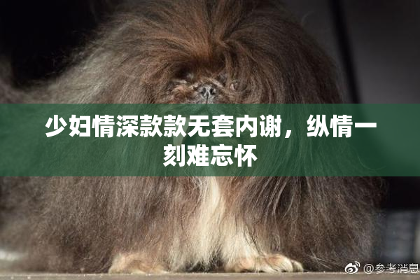 少妇情深款款无套内谢，纵情一刻难忘怀