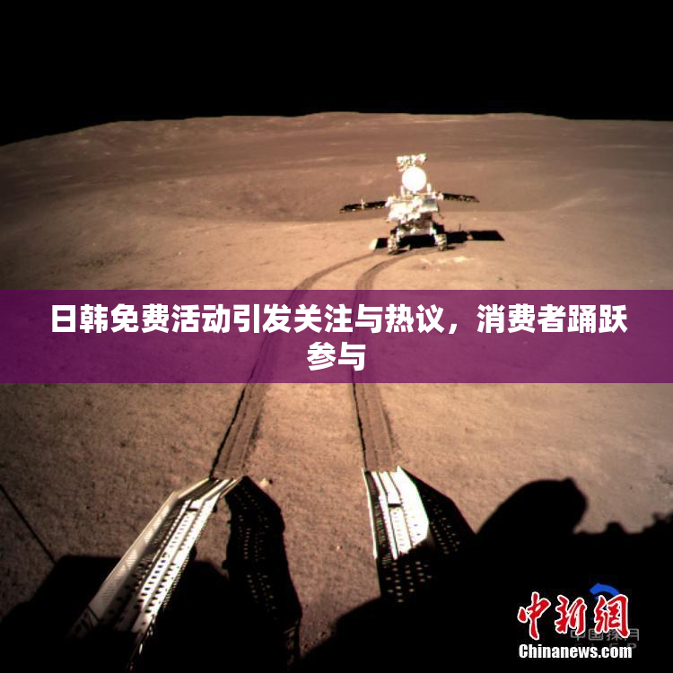 日韩免费活动引发关注与热议，消费者踊跃参与