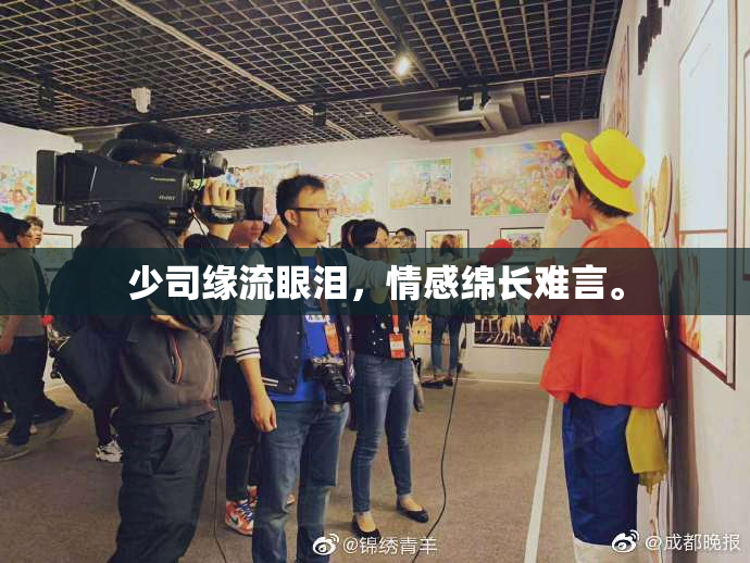 少司缘流眼泪，情感绵长难言。