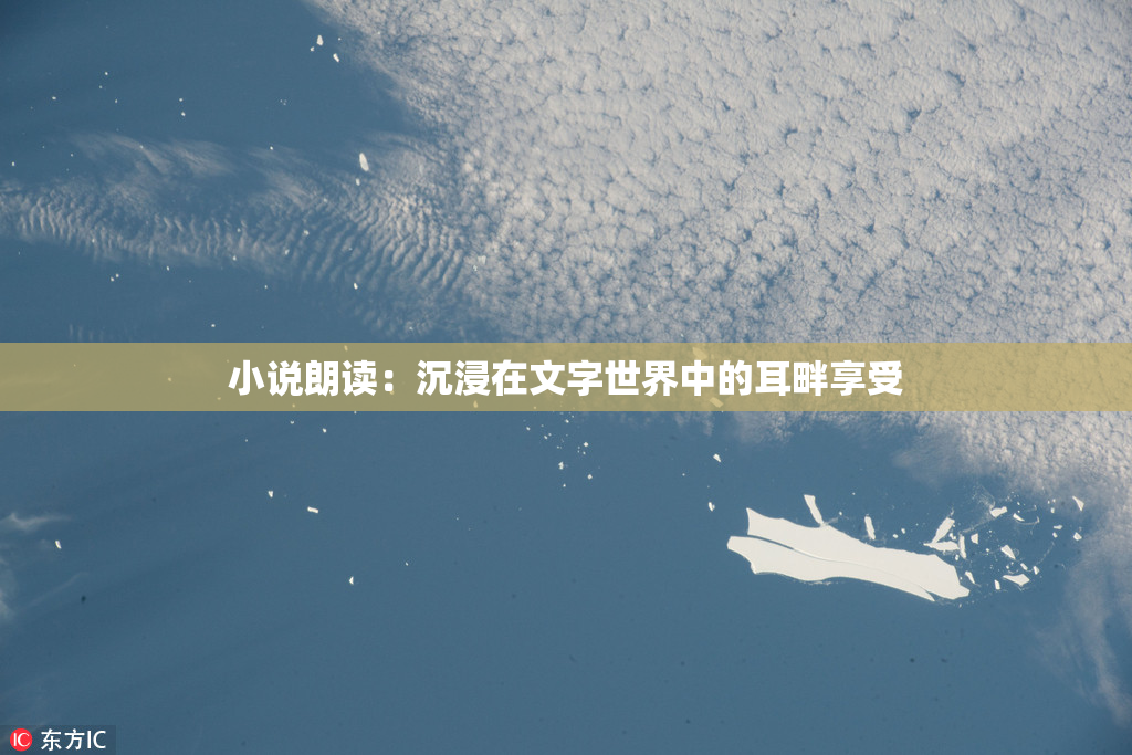 小说朗读：沉浸在文字世界中的耳畔享受