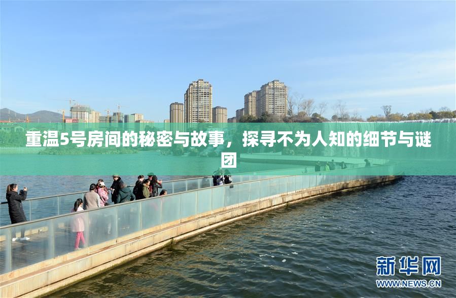 重温5号房间的秘密与故事，探寻不为人知的细节与谜团