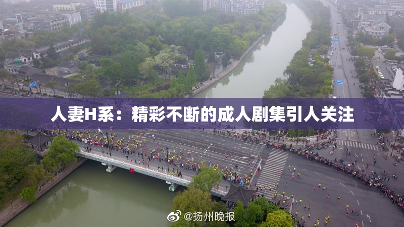 人妻H系：精彩不断的成人剧集引人关注