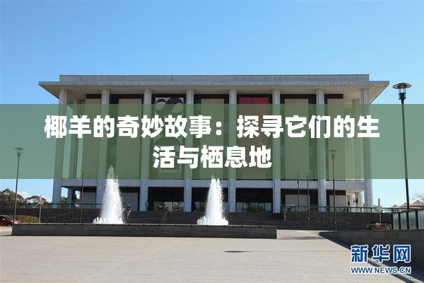 椰羊的奇妙故事：探寻它们的生活与栖息地