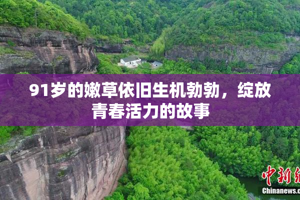 91岁的嫩草依旧生机勃勃，绽放青春活力的故事