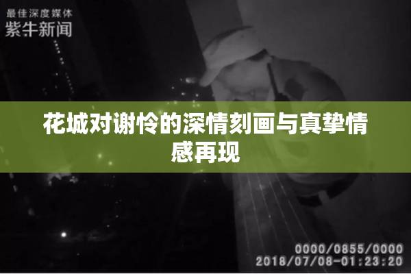花城对谢怜的深情刻画与真挚情感再现